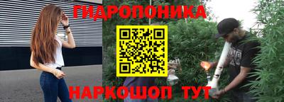 молекула духа Ливны