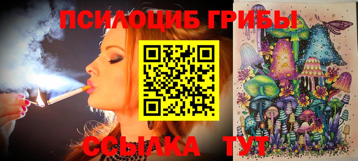 Домодедово  Псилоцибиновые грибы мухоморы  Вход с VPN 
