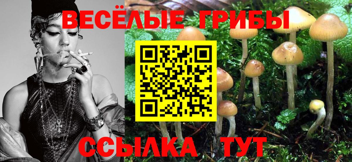 Галлюциногенные грибы Psilocybe Домодедово